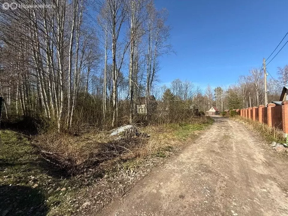 Участок в Плодовское сельское поселение, посёлок Кутузовское (14.93 м) - Фото 0