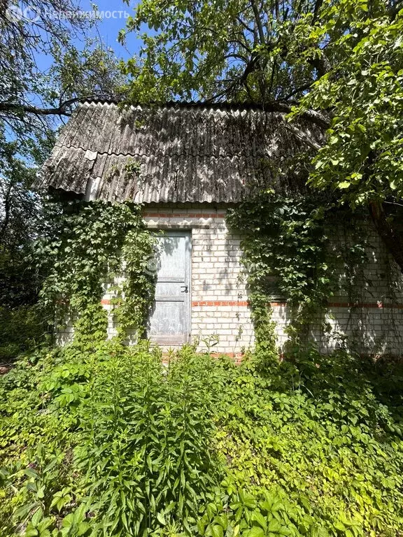 Участок в Воронеж, СНТ Завода Радиодеталей, Калиновая улица, 50 (6 м) - Фото 1