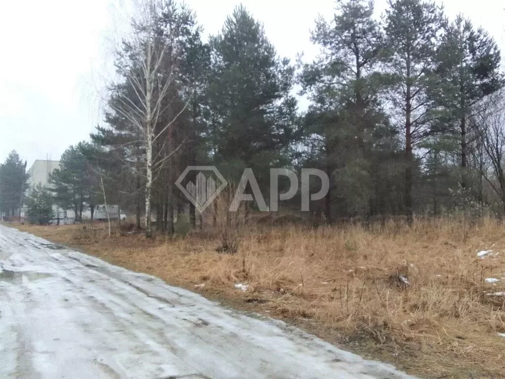 Производственное помещение (1500 м) - Фото 1