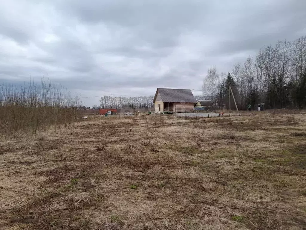 Участок в Вологодская область, д. Ермолово (Рабоче-Крестьянский ... - Фото 2