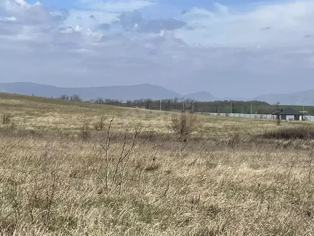 Участок в Крым, Симферопольский район, с. Трудовое  (386.55 сот.) - Фото 1