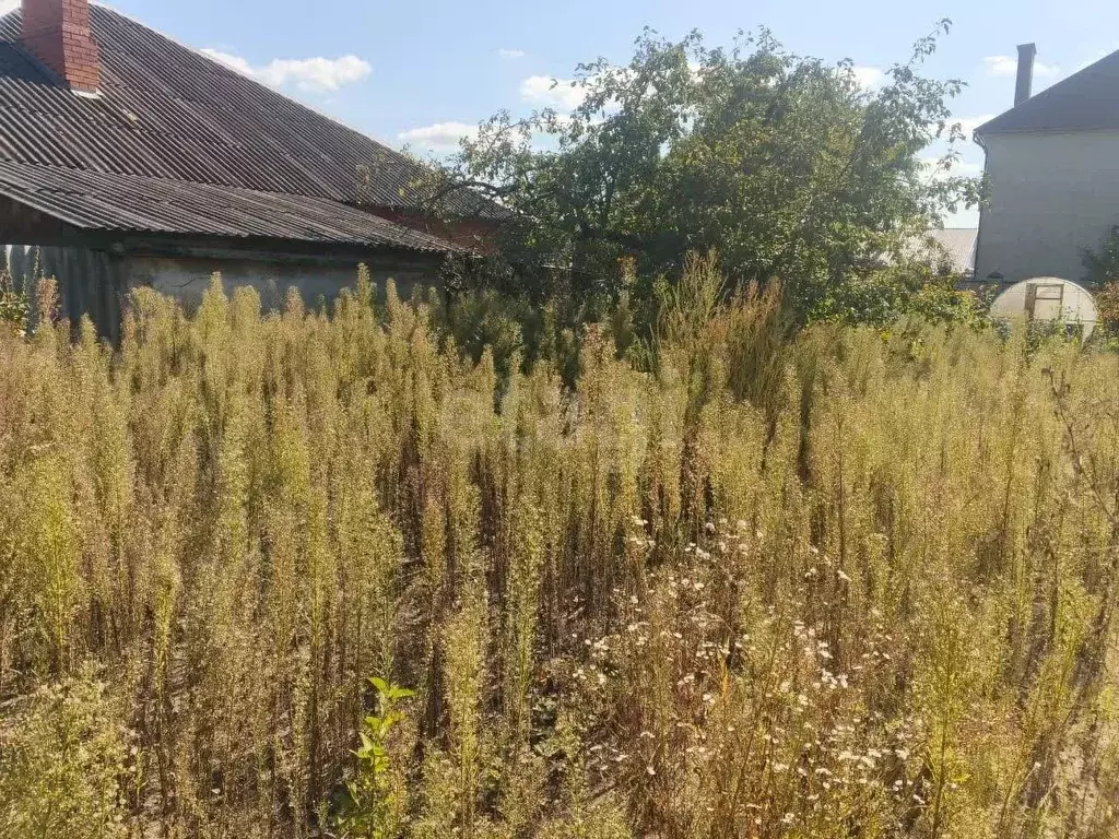 Участок в Брянская область, Брянск Гомельская ул. (3.93 сот.) - Фото 1