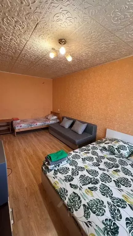 2-к кв. Нижегородская область, Нижний Новгород ул. Культуры, 3 (45.0 ... - Фото 0