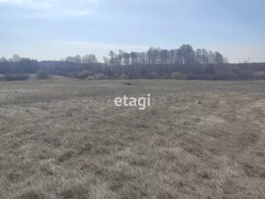 Участок в Тюменская область, Тюменский муниципальный округ, ... - Фото 1