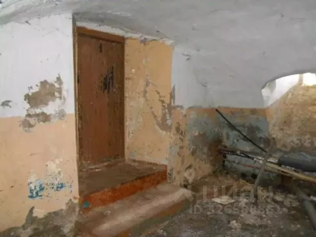 Помещение свободного назначения в Татарстан, Елабуга Казанская ул., 53 ... - Фото 2