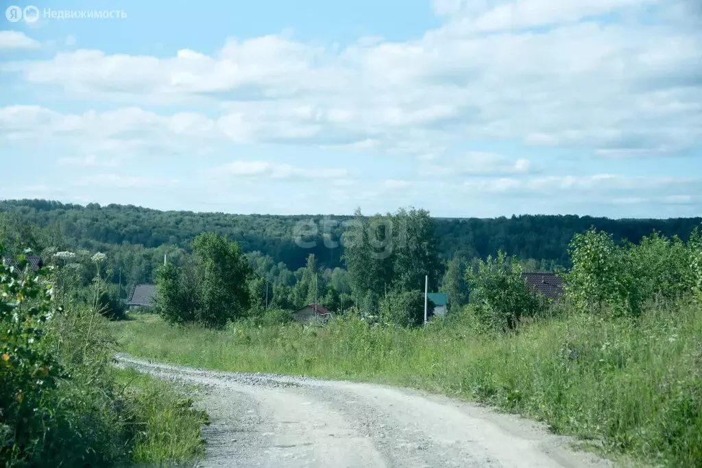 Участок в Искитимский район, Шибковский сельсовет (20 м) - Фото 0