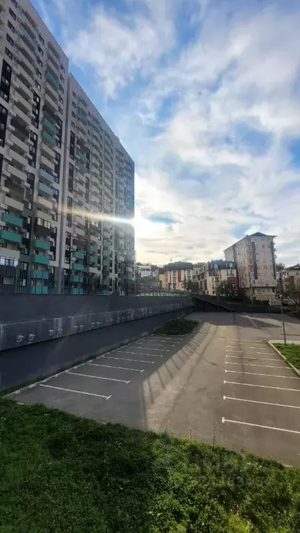 1-к кв. Краснодарский край, Сочи ул. Тимирязева, 44Ак1 (29.8 м) - Фото 2