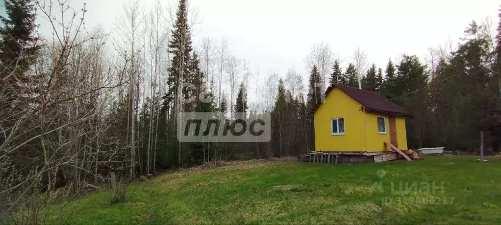 Участок в Коми, Сыктывдинский район, Выльгорт муниципальное ... - Фото 1