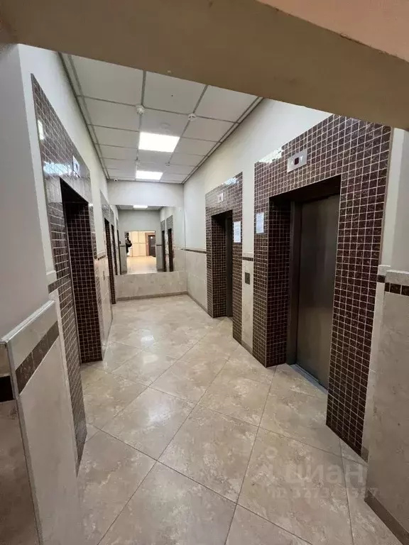 3-к кв. Москва ул. Удальцова, 65 (125.0 м) - Фото 2