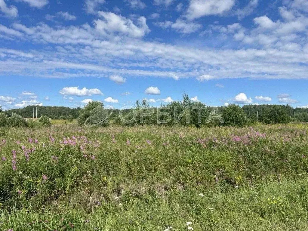 Участок в Тюменская область, Тюменский район, д. Елань 14 (7.5 сот.) - Фото 0