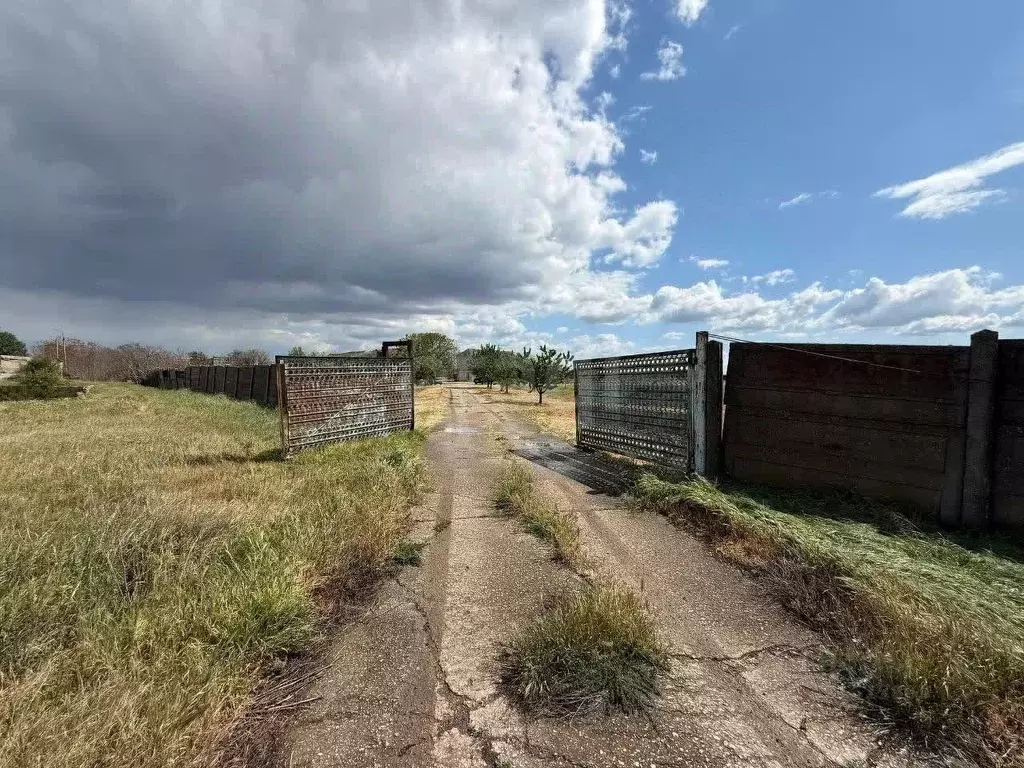 Участок в Крым, Красногвардейский район, с. Амурское  (78.58 сот.) - Фото 1