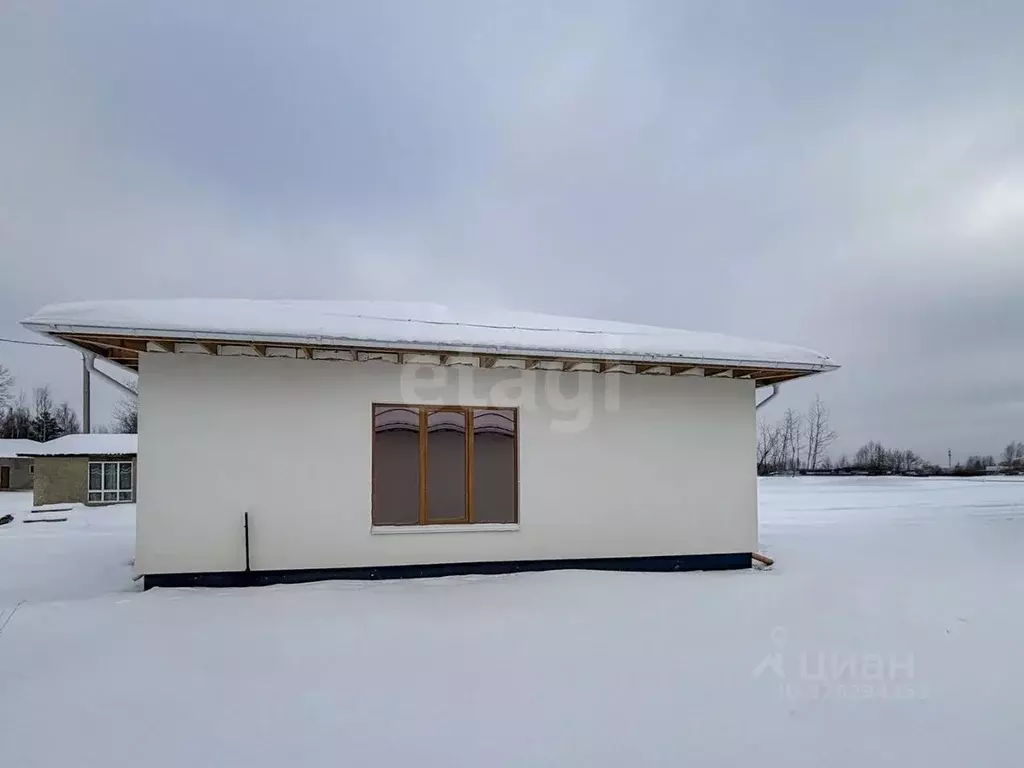 Дом в Псковская область, Псков ул. Невская, 52 (113 м) - Фото 1