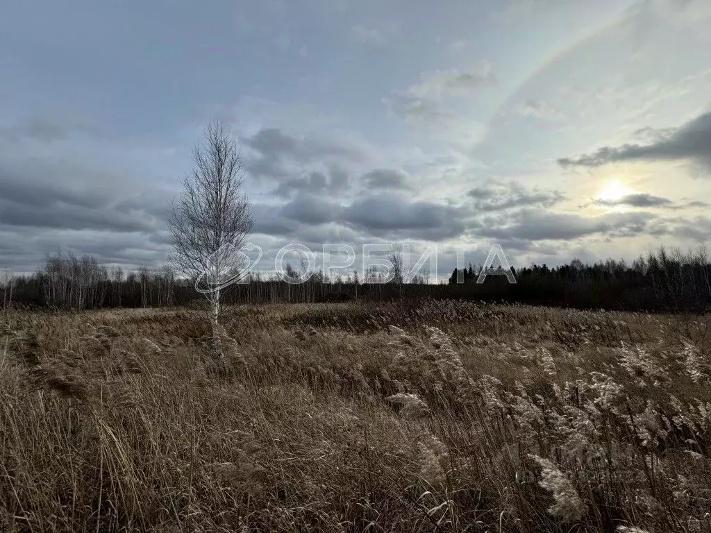 Участок в Тюменская область, Тюмень  (109.0 сот.) - Фото 2