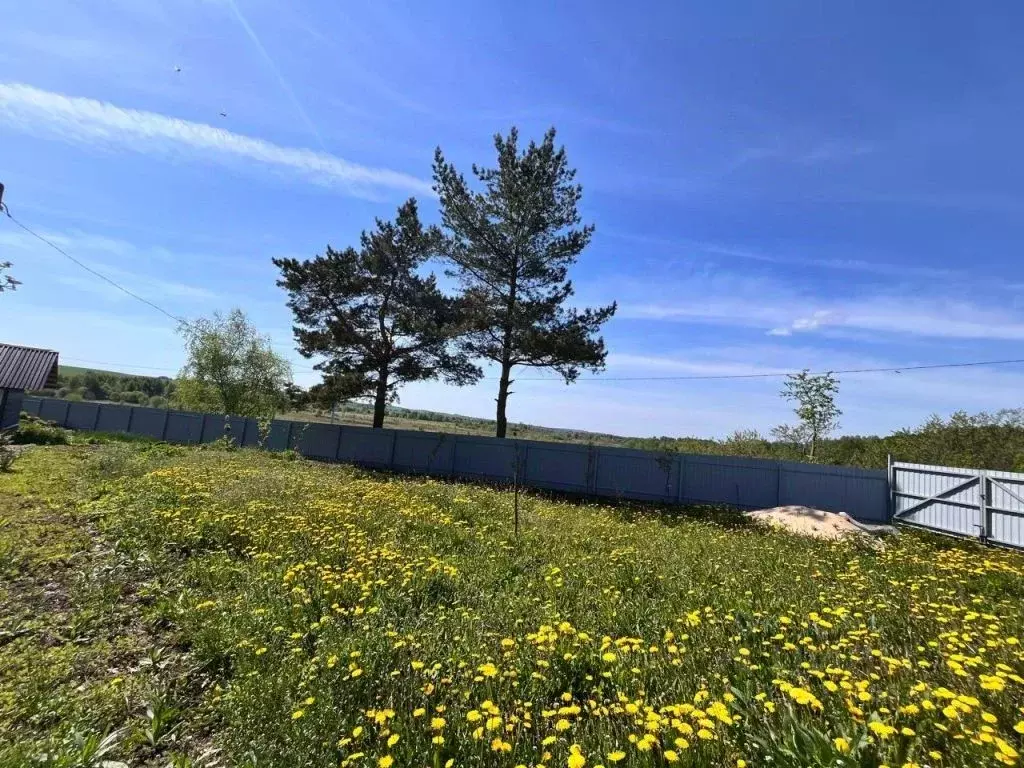 Участок в Нижегородская область, Лысковский район, с. Кисловка ... - Фото 0