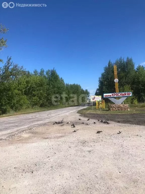 Участок в Ордынский район, село Красный Яр (15 м) - Фото 0