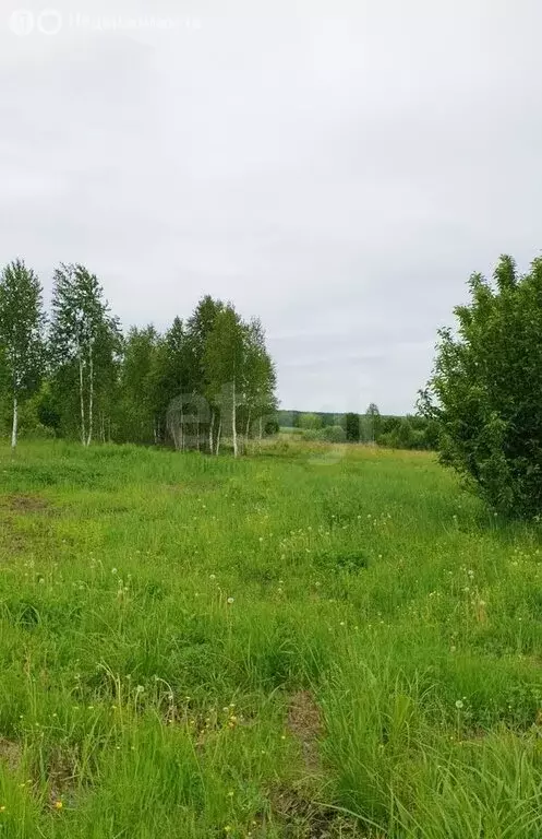 Участок в Сабаево, улица Лавровской (15 м) - Фото 1
