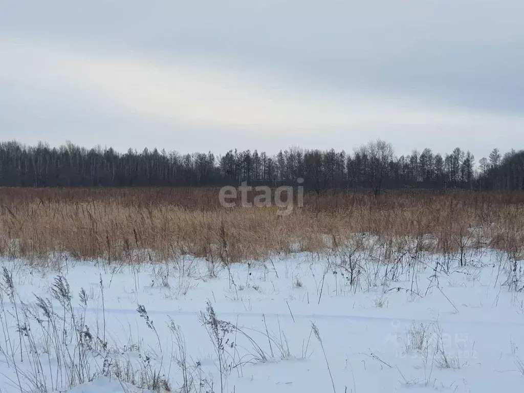 Участок в Еврейская автономная область, Смидовичский район, с. ... - Фото 0