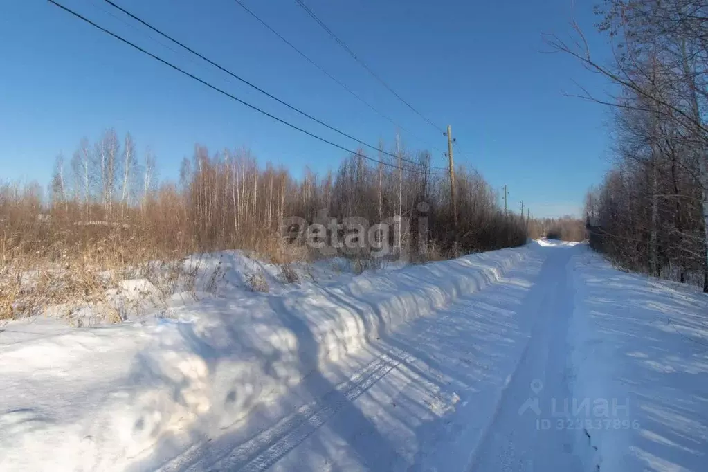 Участок в Тюменская область, Нижнетавдинский муниципальный округ, ... - Фото 0