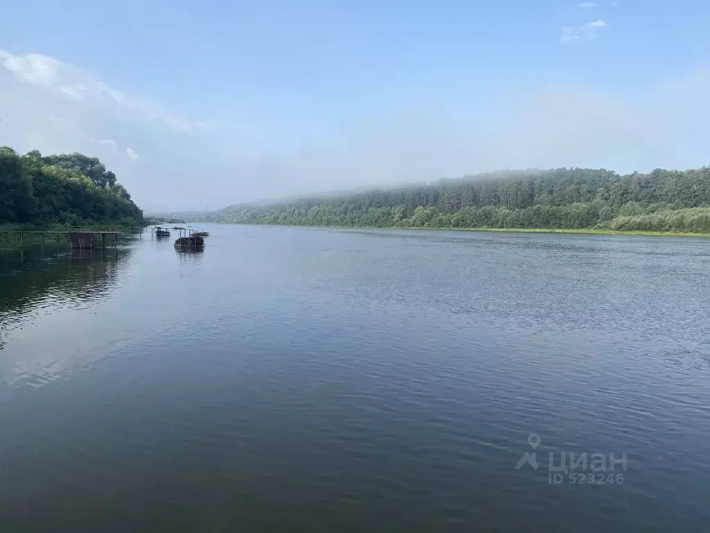 Участок в Тульская область, Заокский район, Страховское с/пос, с. ... - Фото 1