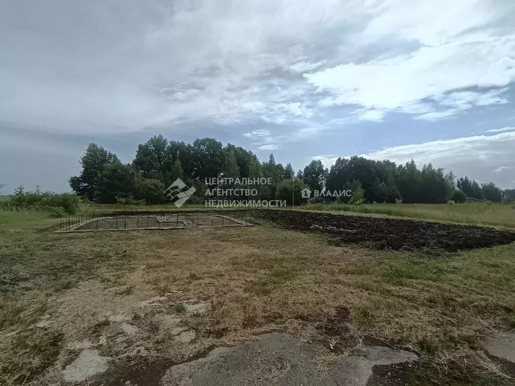 Участок в Рязанская область, Рыбновский муниципальный округ, д. ... - Фото 2