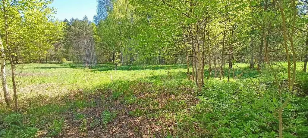 Участок 15 сот. (СНТ, ДНП) - Фото 1