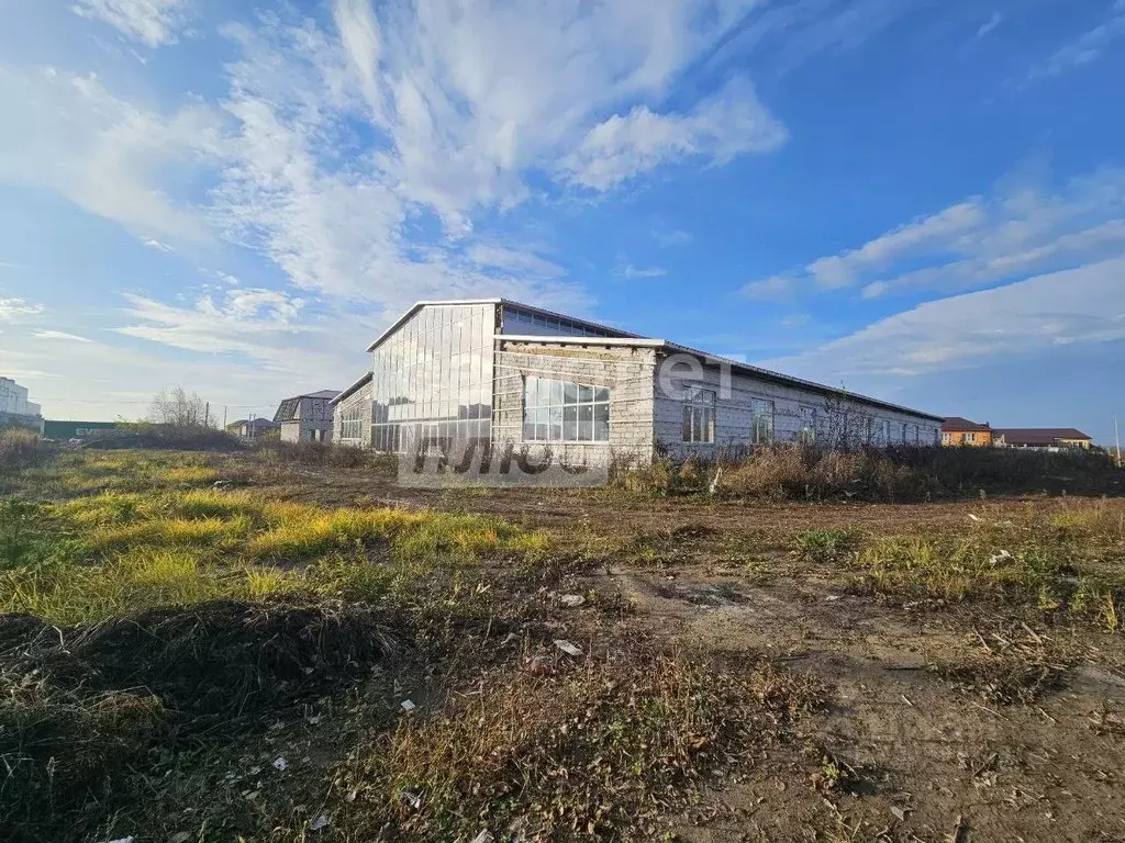 Помещение свободного назначения в Курская область, Курский район, ... - Фото 1