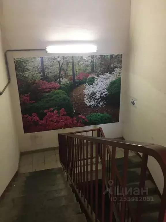 Помещение свободного назначения в Московская область, Балашиха 1 Мая ... - Фото 1