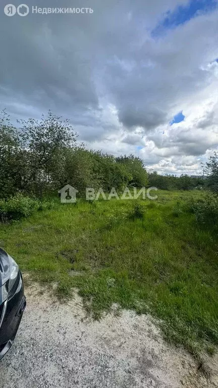 Участок в Белгородская область, Яковлевский муниципальный округ, ... - Фото 1