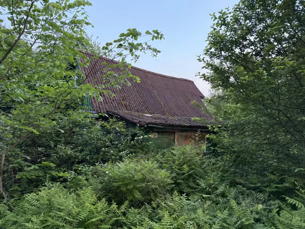Участок в Ленинградская область, Ломоносовский район, Аннинское ... - Фото 1