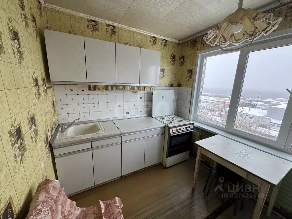 2-к кв. Пензенская область, Пенза ул. Аустрина, 148 (52.3 м) - Фото 2