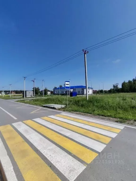 Участок в Новосибирская область, Новосибирский район, Станционный ... - Фото 1