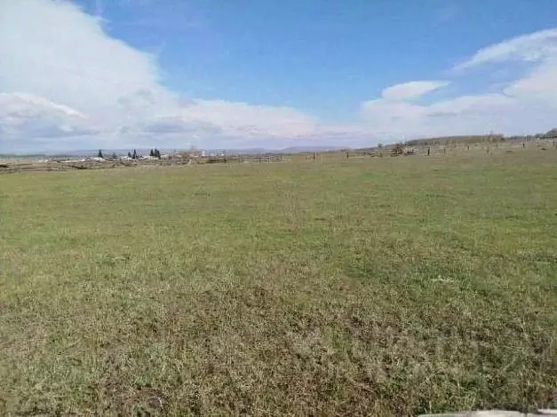 Участок в Иркутская область, Осинский район, д. Русские Янгуты ... - Фото 2