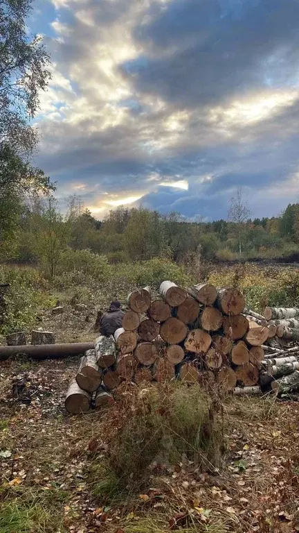 Участок в Карелия, Прионежский район, Деревянское с/пос, д. Ужесельга  ... - Фото 1