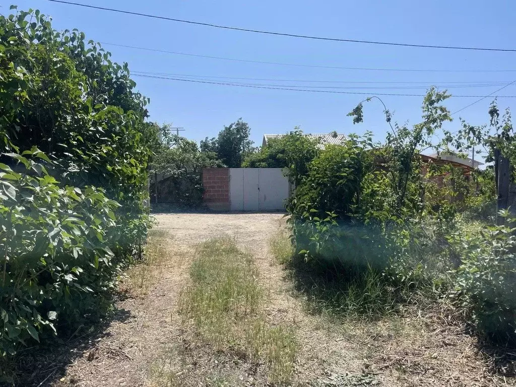 Участок в Севастополь Сосновая роща садоводческое товарищество, 45 ... - Фото 1