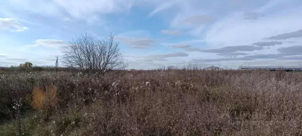 Участок в Свердловская область, Каменский муниципальный округ, с. ... - Фото 1