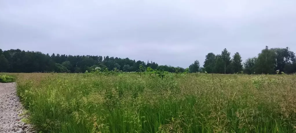 Участок в Московская область, Богородский городской округ, Обухово пгт ... - Фото 1