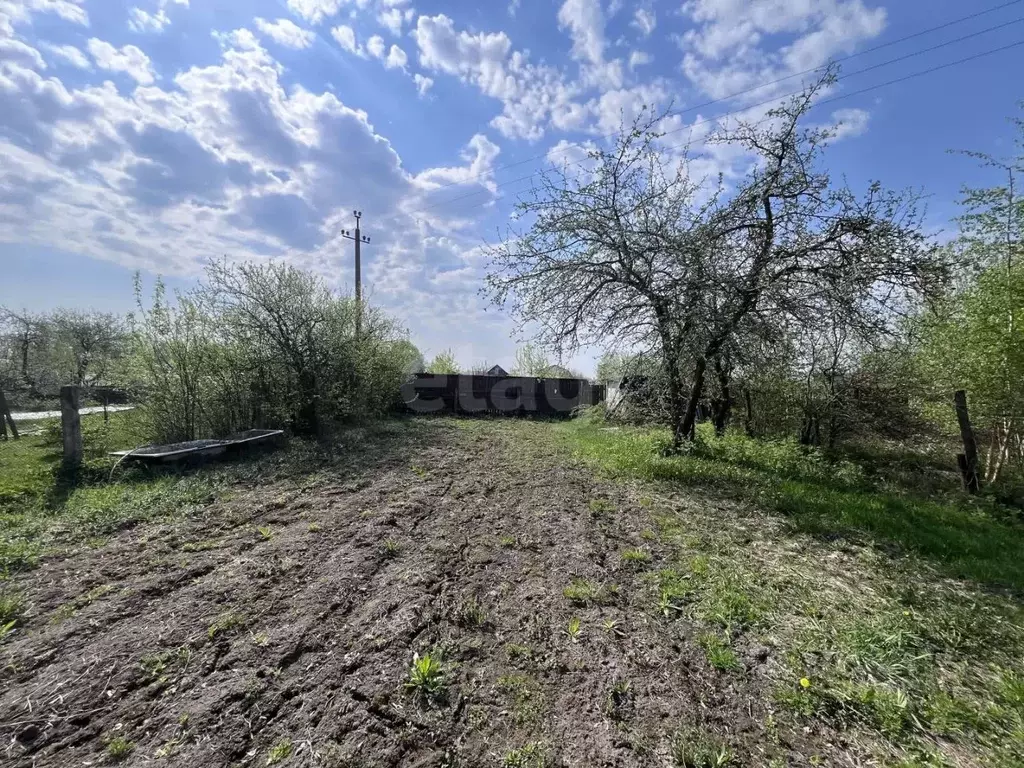 Участок в Владимирская область, Муром с. Панфилово,  (6.0 сот.) - Фото 1