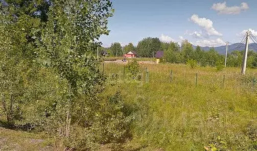 Участок в Алтай, Майминский район, Соузгинское с/пос, Катунь ДНП  ... - Фото 1