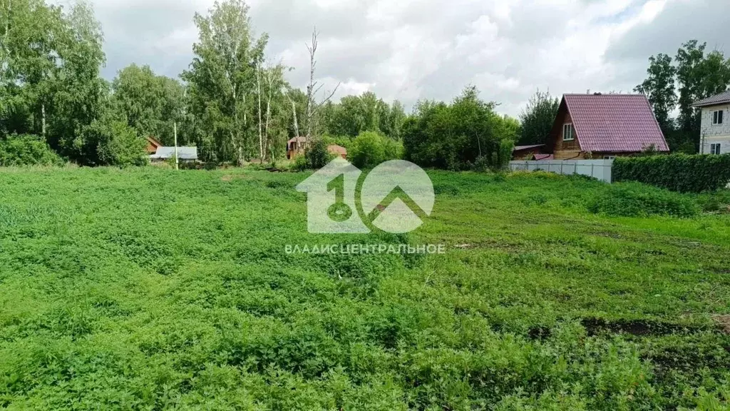 Участок в Новосибирская область, Новосибирский район, Мичуринский ... - Фото 0