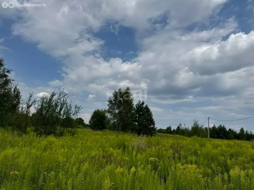 Участок в Нижегородская область, Балахнинский муниципальный округ, ... - Фото 1