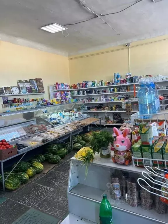 Торговая площадь в Крым, Белогорский район, с. Васильевка ул. Алевтины ... - Фото 2