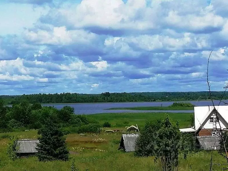 2-к кв. Вологодская область, Кирилловский муниципальный округ, д. ... - Фото 0