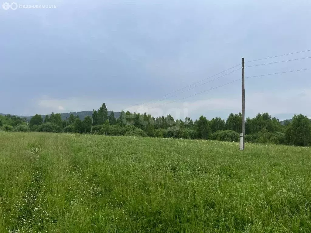 Участок в Майминский район, село Кызыл-Озек (11.4 м) - Фото 1