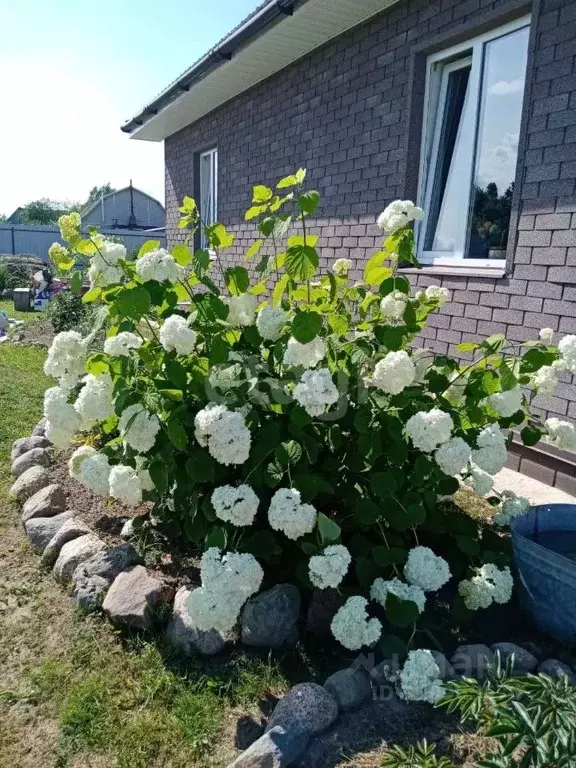 Дом в Псковская область, Псковский район, Логозовская волость, д. ... - Фото 1