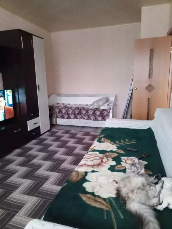 1-к кв. Челябинская область, пос. Увельский ул. Сафонова, 35 (31.0 м) - Фото 1