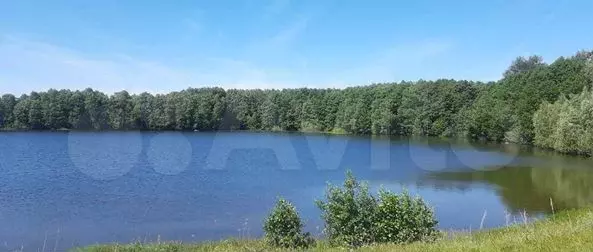 Участок 17,38 га (ИЖС) - Фото 0