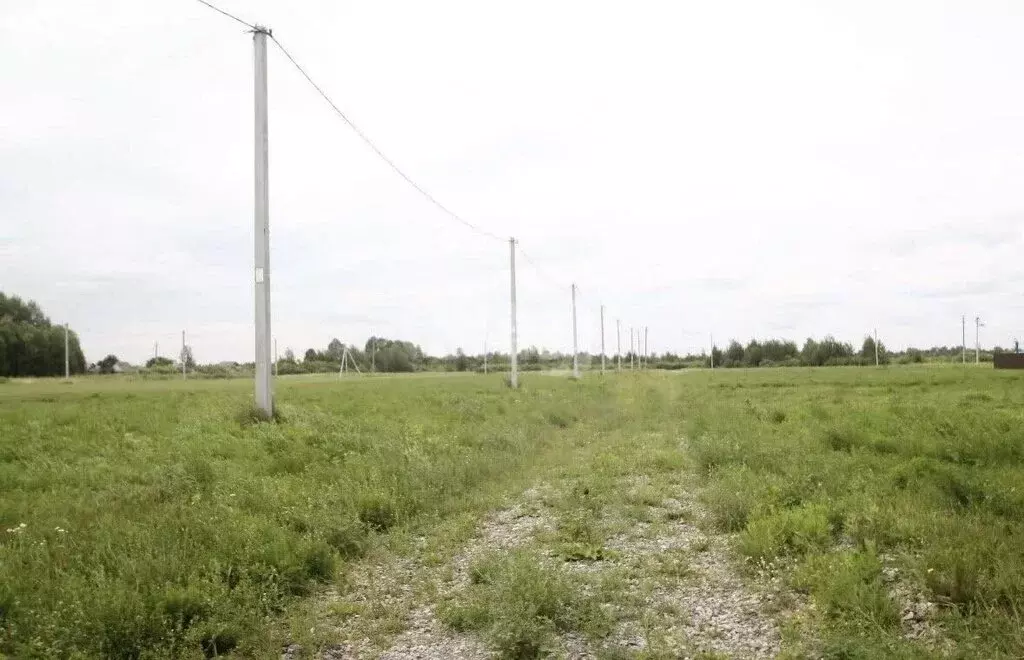 Участок в Тюменский муниципальный округ, деревня Марай, Кардонская ... - Фото 2