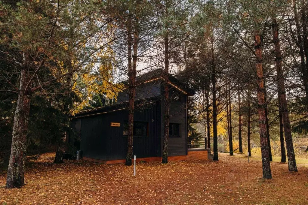 Дом в Карелия, Пряжинский район, Чалнинское с/пос, д. Нижние Виданы, ... - Фото 2