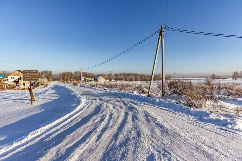 Участок в Новосибирская область, Искитимский район, Совхозный ... - Фото 1