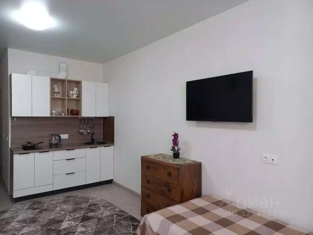 Студия Краснодарский край, Анапа ш. Супсехское, 39к16 (28.0 м) - Фото 1